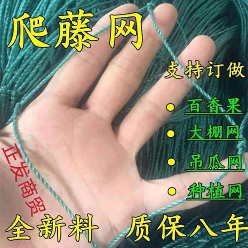 瓜网爬藤网厂家,品牌,图片,热帖